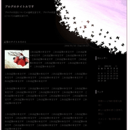 sky008